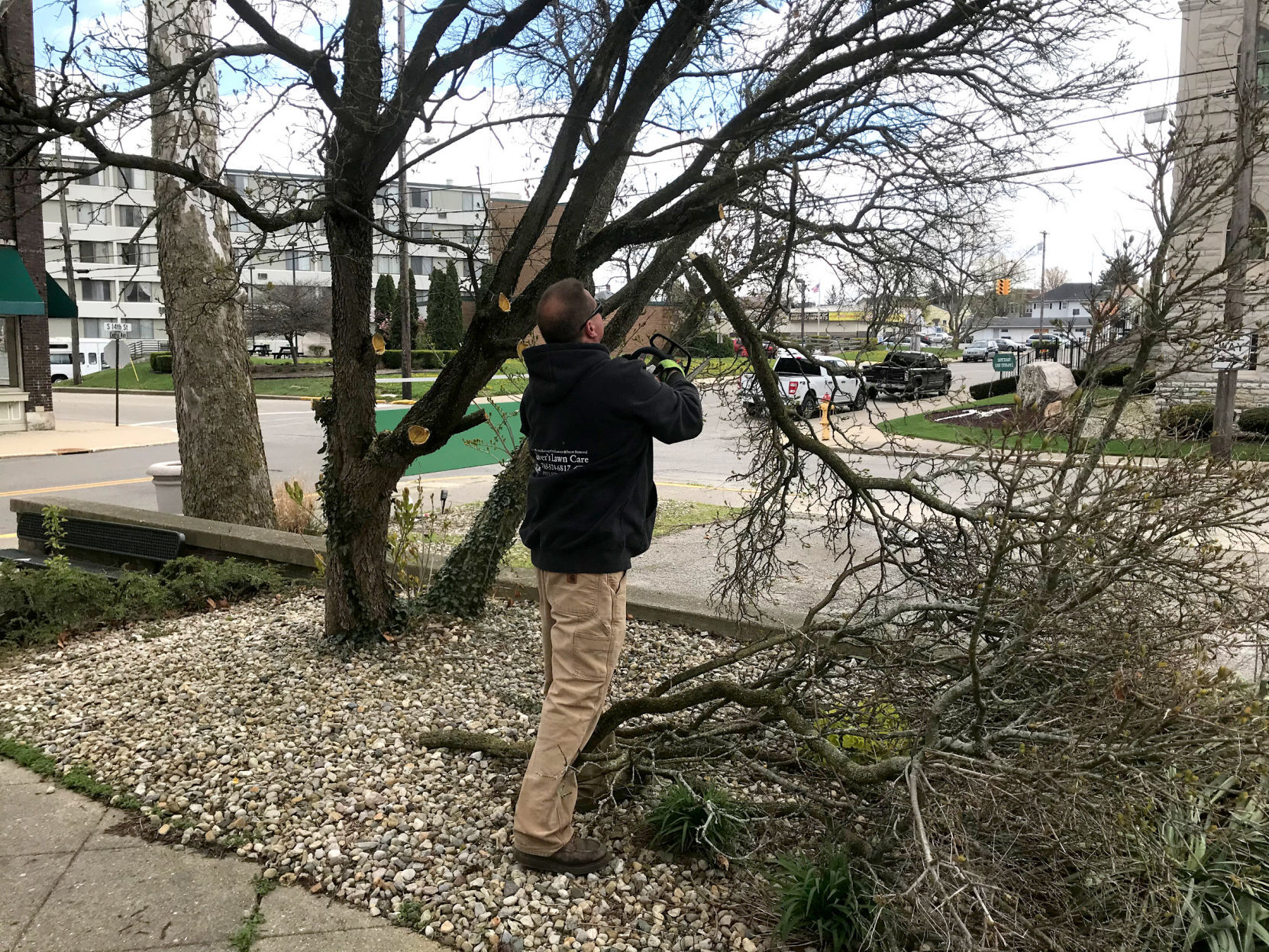 BIG LANDSCAPING CLEAN UP